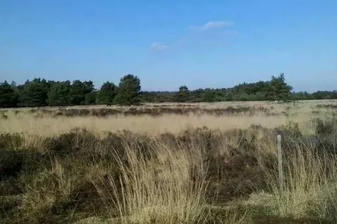 Recreatiecentrum Adelhof foto 12