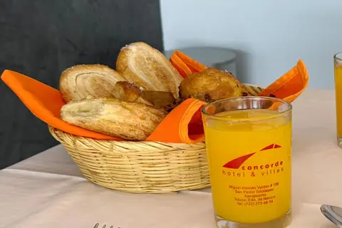 Hotel Concorde in Toluca de Lerdo — foto 3