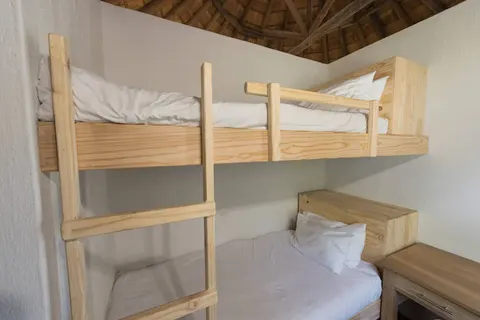 Ultimate Safari Experience - Sefapane Lodge in Pretoria — foto 12