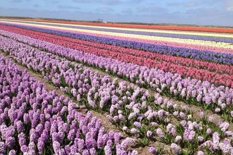 Hotel &ampapos;t Zwaantje Callantsoog foto 25