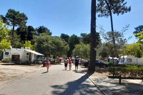Camping Caminha foto 2