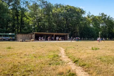 Ferme Pédagogique De Prunay in Valloire-sur-Cisse — foto 35