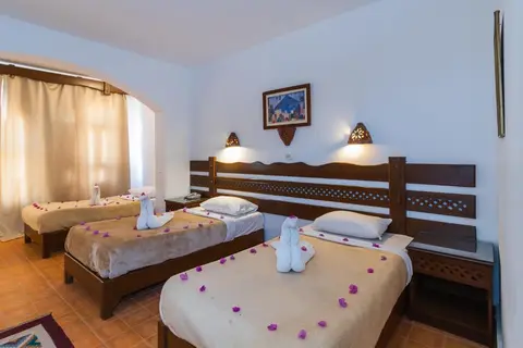Daniela Hotel & Diving Center Dahab in دهب — foto 26