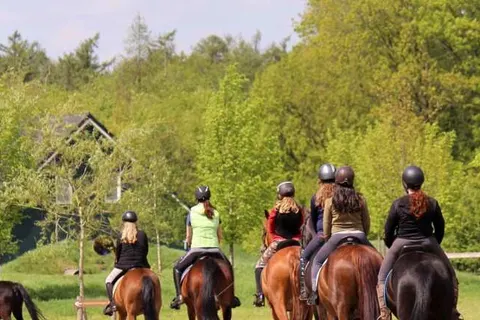 Horsetellerie Rheezerveen foto 7