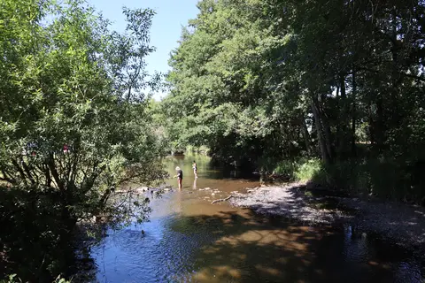 De Chênefleur in Tintigny — foto 17