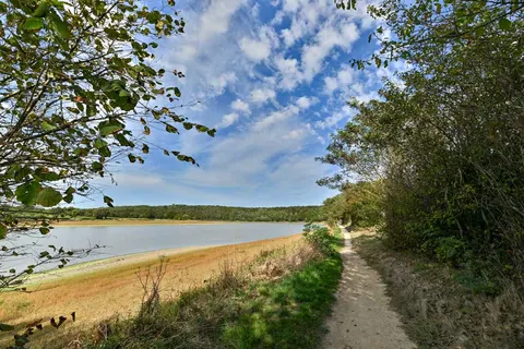 Camping Château La Forêt foto 15