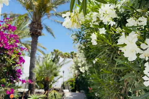 Monte Marina Naturist Resort in Jandia — foto 14