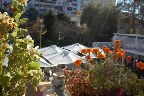 Green House in Tirana — foto 24