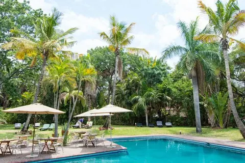 Ultimate Safari Experience - Sefapane Lodge in Pretoria — foto 19