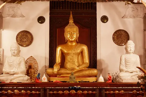 Perfect Match Sri Lanka & The Maldives foto 4