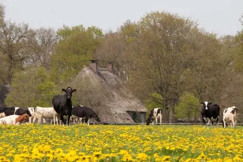 Fietsvakantie rondje Drenthe foto 14