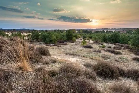 Hotel-Restaurant Nol in &ampapos;t Bosch foto 16