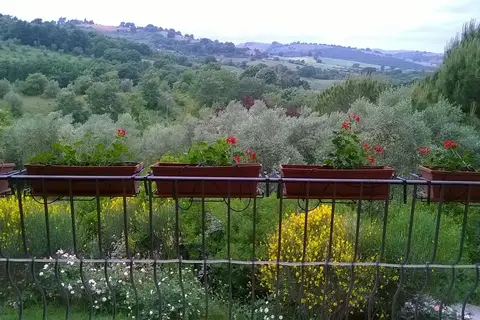 Il Melograno Country House in Manciano, foto 3
