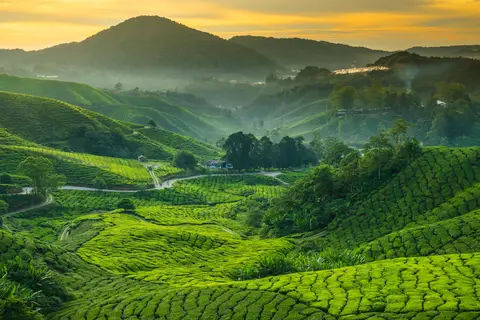 Maleisië in stijl in Miri — foto 4