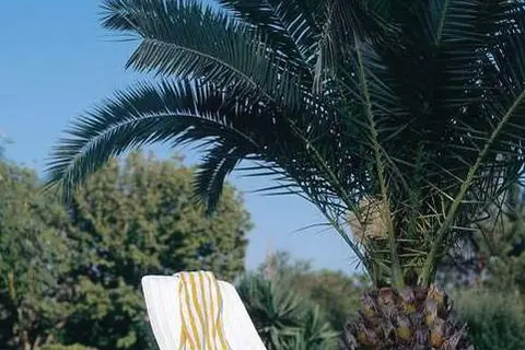 Serra Park Hotel in Manavgat — foto 2