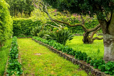 Quinta dos 10 in Ponta Delgada — foto 11