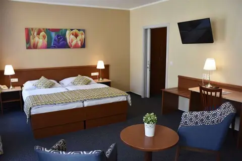 Austria Suites in Praag, foto 3