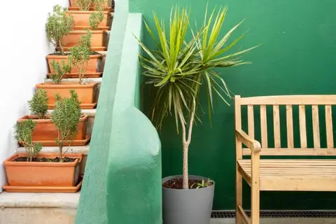Hostellicious in Mexilhoeira Grande — foto 8