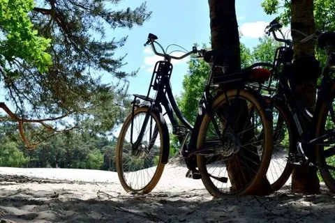 DoubleTree by Hilton Royal Parc Soestduinen foto 12