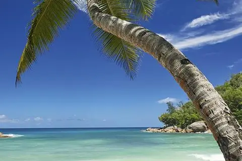 Constance Lemuria in Grand Anse Praslin — foto 5