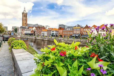 Parels van Belgie in Nederlandse en Belgische Wateren — foto 2