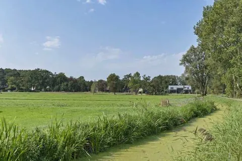 Vakantiepark Schoorlse Duinen foto 16