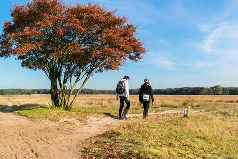 Boutique Hotel en Boerderij restaurant De Gloepe foto 21