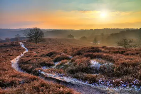 Kerst op de Veluwe, Nunspeet in Nunspeet — foto 4