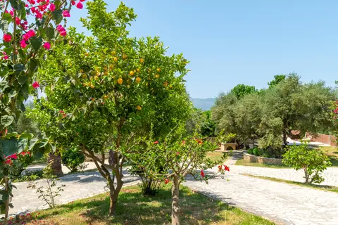 Small Village in Zakynthos Municipal Unit — foto 8