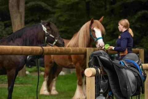 Landhotel Diever foto 25