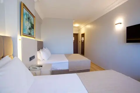 Grand Ant Hotel in İstanbul — foto 5
