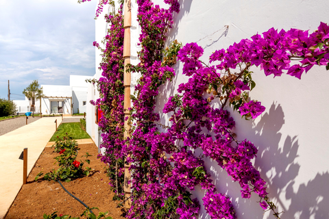 Hotel Eques Petit Resort foto 12