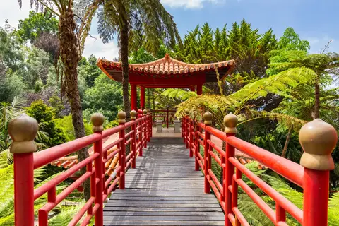 Mooi Madeira in Martingança Gare — foto 8