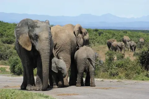 Pragtig Suid-Afrika in Complete rondreis Zuid-Afrika — foto 14