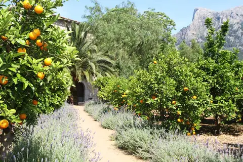 Ca's Curial in Sóller — foto 5