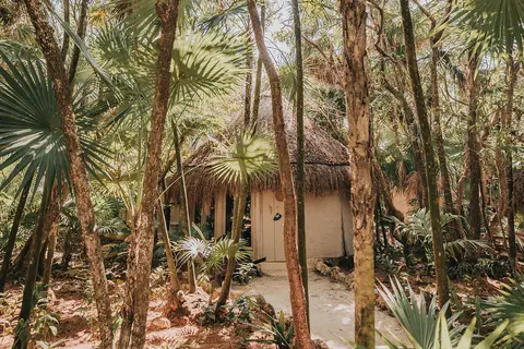 Papaya Playa Project in Cancún — foto 20