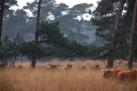 Hotel De Hoeve van Nunspeet foto 30