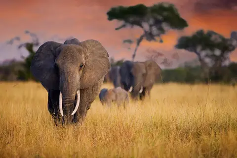Tanzania Compleet in Tanzania — foto 12