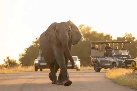 Wonderlik Suid-Afrika in Complete rondreis Zuid-Afrika — foto 7