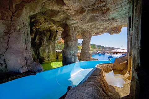 Holiday World Riwo affiliated by Melia foto 33