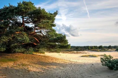 Grenzeloos Slapen-Eten-Beleven foto 38