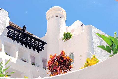 Hotel Dreams Jardin Tropical foto 7