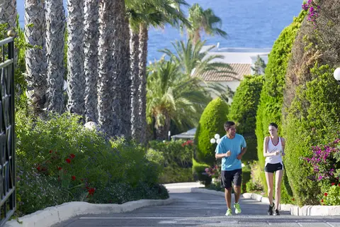 Mitsis Royal Mare & Thalasso Resort in Δημοτική Ενότητα Χερσονήσου — foto 26