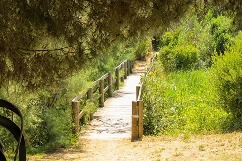 Camping Club Degli Amici foto 26