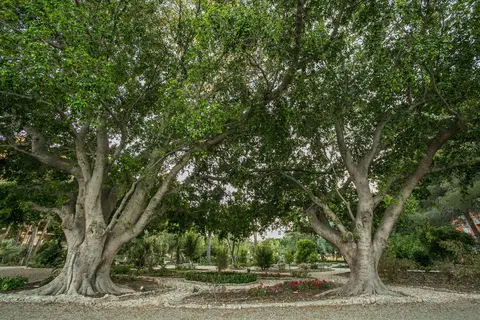 Parco delle Fontane in Syracuse, foto 24