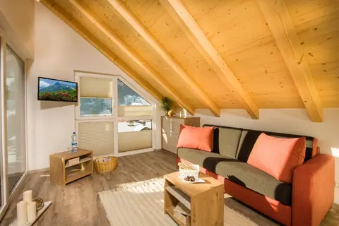 Appartementen Bergparadies in Dorfgastein — foto 5
