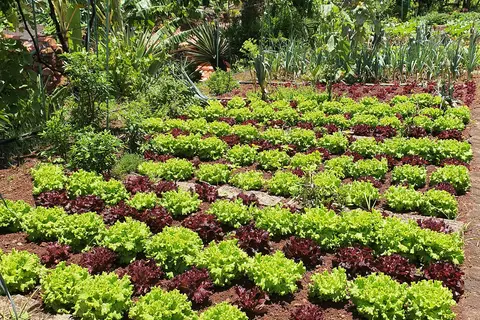 Appartementen Quinta Splendida Wellness & Botanical Garden in Santa Cruz — foto 43