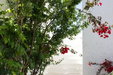 Naxos Holidays Hotel in Naxos holidays, foto 21