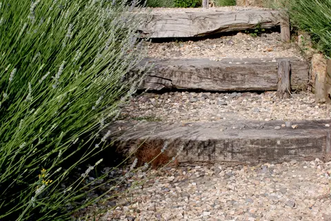 Tenuta Sant'Ilario in Gambassi Terme, foto 11