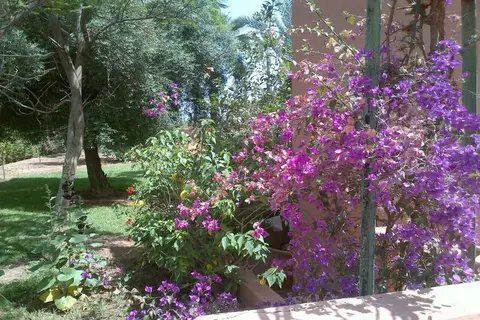 In Club Palmeraie Resorts in Marrakech — foto 5